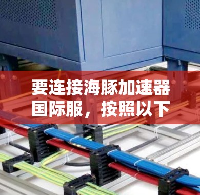要连接海豚加速器国际服,按照以下步骤操作