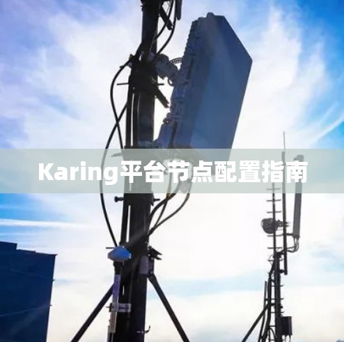Karing平台节点配置指南