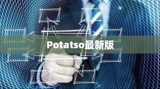 Potatso最新版