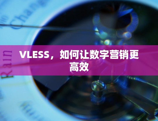 VLESS，如何让数字营销更高效