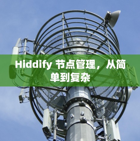 Hiddify 节点管理，从简单到复杂
