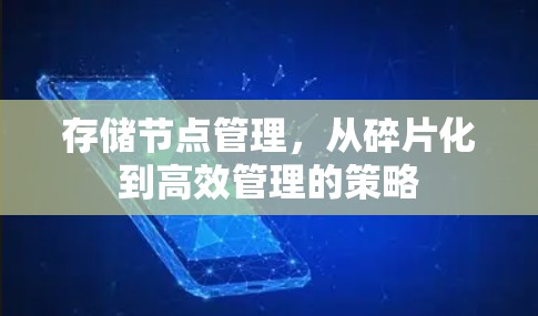 存储节点管理,从碎片化到高效管理的策略